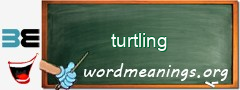 WordMeaning blackboard for turtling